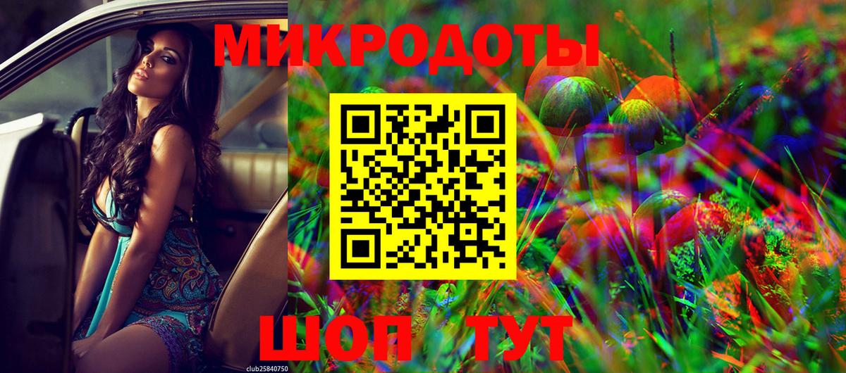 где можно купить наркотик  Псилоцибиновые грибы MAGIC MUSHROOMS  Вход с VPN  Псилоцибиновые грибы Psilocybe  Гусев 