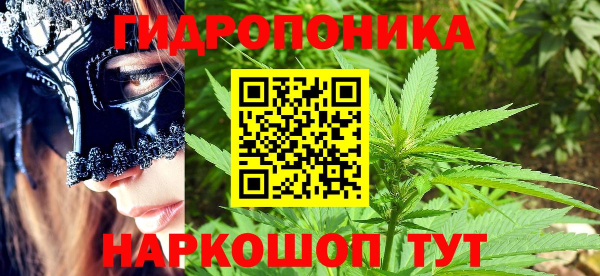 Гусев  Шишки марихуана тримм  Марихуана сатива  Вход с VPN  МАРИХУАНА THC 21% 